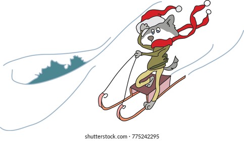 Husky is sliding from the hill