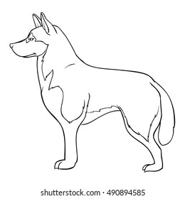 Husky Standing Coloring Book Stock Vector (Royalty Free) 490894585