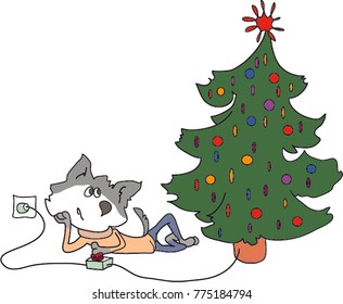 Husky tests the lights of the Christmas tree