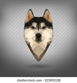 Husky vector polygon, abstract triangle  