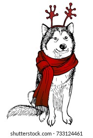 Husky's dog, in a knitted red scarf and antlers mask. Christmas dog. Vector illustration. Template for a card or poster. Print on clothes. Winter holidays. New Year's and Christmas.