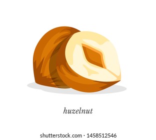 Huzelnut flat vector illustration with typography. Delicious organic snack, natural product. Unbroken nutshell and nut kernel closeup. Vegan food ,healthy nutrition, vitamin diet. Tasty protein meal