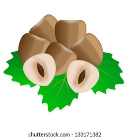 huzelnuts and leaves isolated on the white background vector