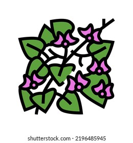 hyacinth bean color icon vector. hyacinth bean sign. isolated symbol illustration