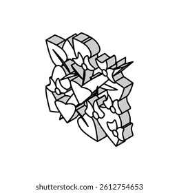 hyacinth bean isometric icon vector. hyacinth bean sign. isolated symbol illustration