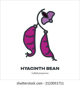 Hyacinth bean or lablab vegetable pod and blossom icon, outline with color fill style vector illustration
