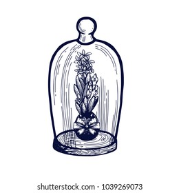 Hyacinth in Easter egg in Glass Domes hand drawn Isolated vector illustration. Universal templates for invitation or packaging. Engraving