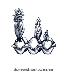 Hyacinth in Easter egg hand drawn Isolated vector illustration. Universal templates for invitation or packaging. Engraving