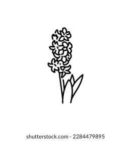 Hyacinth flower black line icon. Pictogram for web page, mobile app, promo.