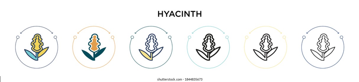 Hyacinth icon in filled, thin line, outline and stroke style. Vector illustration of two colored and black hyacinth vector icons designs can be used for mobile, ui, web