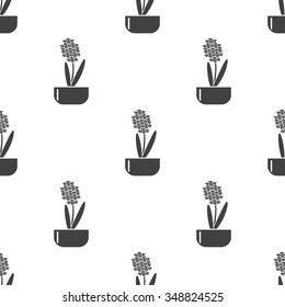 hyacinth icon on white background for web