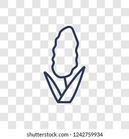 Hyacinth icon. Trendy linear Hyacinth logo concept on transparent background from Nature collection