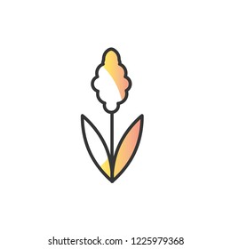 hyacinth icon vector design