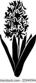 hyacinth illustration plant silhouette flower logo decoration icon spring outline blossom nature floral garden bloom flora botanical bouquet beautiful shape for vector graphic background