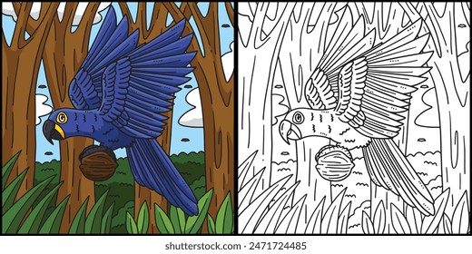 Hyacinth Macaw Bird Coloring Page Illustration