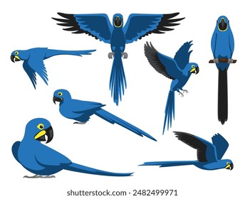 Pájaro de guacamayo de jacinto loro mascota exótica varias posturas de dibujos animados Vector personaje