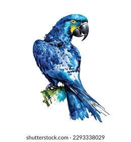 Hyacinth macaw bird  watercolor illustration on white background.