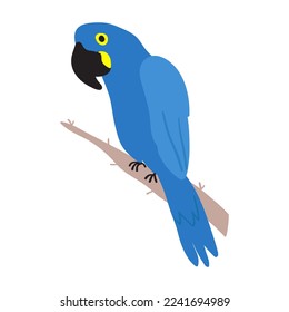 Hyacinth macaw. Flat illustration. Vector graphic design on white background. 