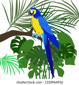 Hyacinth macaw in tropical rainforest vector graphics