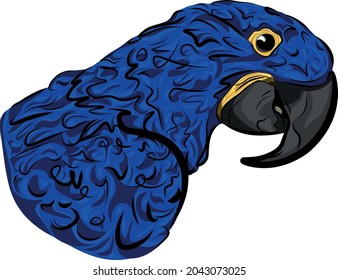 Hyazinthe-Macaw-Vektor-Papageienfarbe