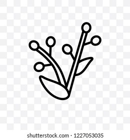 Hyacinth vector linear icon isolated on transparent background, Hyacinth transparency concept can be used for web and mobile