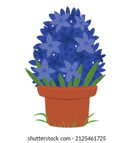 Hyacinths in a pot.Spring mood.Hand drawn flat illustration.
