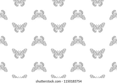 Hyalophora cecropia, cecropia moth stylized vector seamless pattern