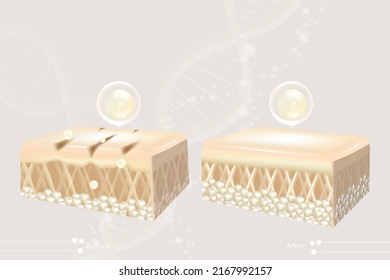 Hyaluronic acid before and after hair and skin solutions ad. white collagen serum drop over skin cells with cosmetic advertising background ready to use, illustration vector.	