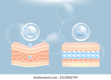 Hyaluronic acid before and after hair and skin solutions ad, blue collagen serum drop into skin cells with cosmetic advertising background ready to use, illustration vector.	