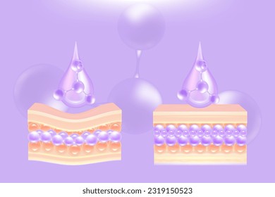 Hyaluronic acid before and after hair and skin solutions ad, purple collagen serum drop into skin cells with cosmetic advertising background ready to use, illustration vector.	