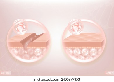 Hyaluronic acid before and after hair and skin solutions ad. pink collagen serum drop into skin cells with cosmetic advertising background ready to use, illustration vector.	