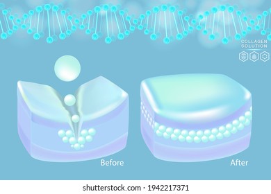 Hyaluronic acid before and after skin solutions ad, blue collagen serum drops with cosmetic advertising background ready to use, illustration vector.