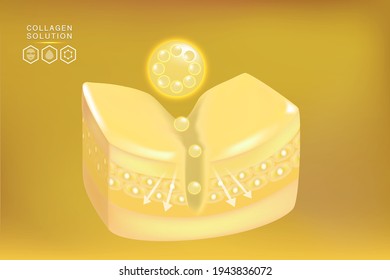 Hyaluronic acid before and after skin solutions ad, gold collagen serum drop with cosmetic advertising background ready to use, illustration vector.