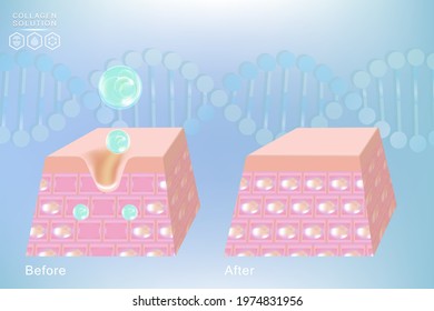 Hyaluronic acid before and after skin solutions ad, blue collagen serum drop with cosmetic advertising background ready to use, illustration vector.