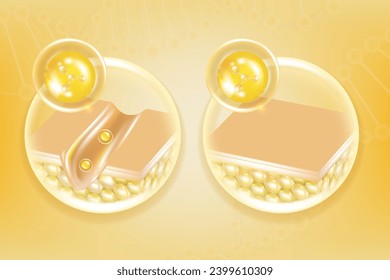 Hyaluronic acid before and after skin solutions ad, gold collagen serum drops into skin cell with cosmetic advertising background ready to use, illustration vector.		