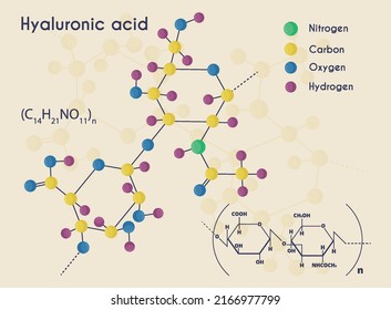 Hyaluronic Acid.  Chemical Formula. Molecule Of Hyaluronic Acid. Chemical Poster. Cosmetology. Vector Illustration.