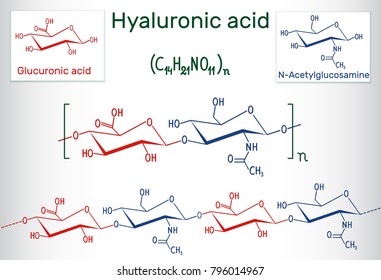 Hyaluronic acid (HA, hyaluronate, hyaluronan ) macromolecule. It is composed of repeating disaccharide units of N-acetylglucosamine and D-glucuronic acid. Structural chemical formula. Vector EPS10