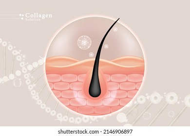 Hyaluronic acid hair and skin solutions ad, white collagen serum drop over skin cells with cosmetic advertising background ready to use, illustration vector.