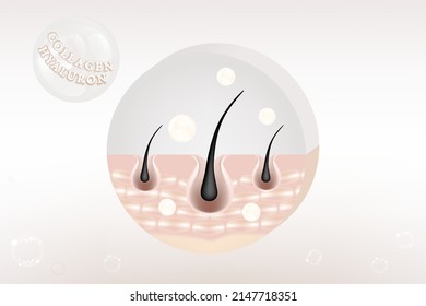 Hyaluronic acid hair and skin solutions ad, white collagen serum drop over skin cells with cosmetic advertising background ready to use, illustration vector.