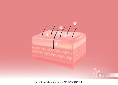 Hyaluronic acid hair and skin solutions ad, pink collagen serum drop over skin cell with cosmetic advertising background ready to use, illustration vector.	