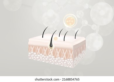 Hyaluronic acid hair and skin solutions ad, white collagen serum drop over skin cells with cosmetic advertising background ready to use, illustration vector.