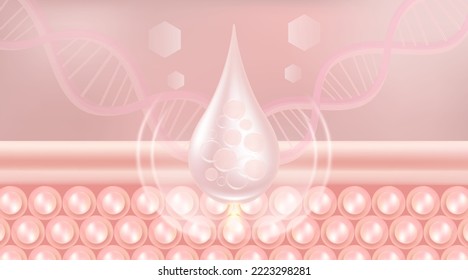 Hyaluronic acid hair and skin solutions ad, pink collagen serum drop into skin cells with cosmetic advertising background ready to use, illustration vector.	