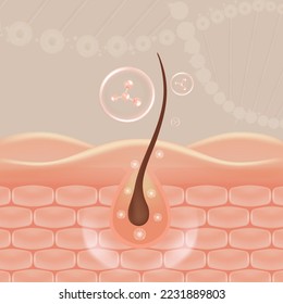 Hyaluronic acid hair and skin solutions ad, pink collagen serum drops into skin cells with cosmetic advertising background ready to use, illustration vector.