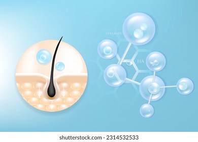 Hyaluronic acid hair and skin solutions ad, blue collagen serum drop into skin cells with cosmetic advertising background ready to use, illustration vector.	