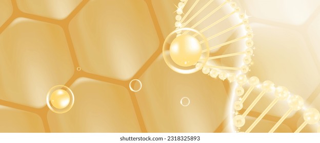 Hyaluronic acid hair and skin solutions ad, gold collagen serum drop into skin cells with cosmetic advertising background ready to use, illustration vector.	