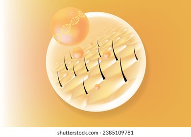 Hyaluronic acid hair and skin solutions ad, gold collagen serum drops over skin cells with anti-aging cosmetic advertising background ready to use, illustration vector.	