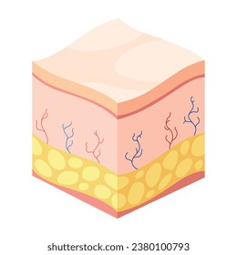 Hyaluronic acid isometric. Profile view cube representing skin structure layers icon. Subcutaneous tissue, dermis and epidermis anatomical structure. Cartoon vector illustration isolated on white