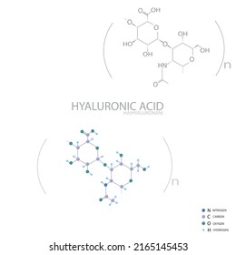 Hyaluronsäure molekulare, 3D-chemische Formel für Skelette.