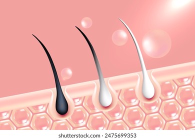 Hyaluronic acid and Niacinamid gray hair and skin solutions ad, pink collagen serum drops into skin cell with cosmetic advertising background ready to use, illustration vector.