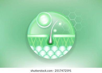 Hyaluronic acid and Niacinamid gray hair and skin solutions ad, green collagen serum drops into skin cell with cosmetic advertising background ready to use, illustration vector.	